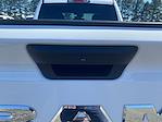 New 2025 Ram 1500 Lone Star Quad Cab 4x4 Pickup for sale #739871 - photo 13