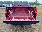 2025 Ram 1500 Crew Cab 4x4 Pickup for sale #745699 - photo 13