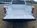 2025 Ram 1500 Crew Cab 4x4 Pickup for sale #748753 - photo 15