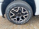 2025 Ram 1500 Crew Cab 4x4 Pickup for sale #748753 - photo 9