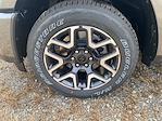 2025 Ram 1500 Crew Cab 4x4 Pickup for sale #748754 - photo 9
