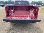 2025 Ram 1500 Quad Cab 4x4 Pickup for sale #753820 - photo 15
