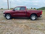 2025 Ram 1500 Quad Cab 4x4 Pickup for sale #753820 - photo 8