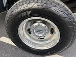 2021 Ford F-350 Crew Cab DRW 4WD Pickup for sale #D76549F - photo 7