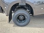 2025 Ram 3500 Crew Cab DRW 4x4 Pickup for sale #SG509658 - photo 7