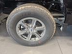 2025 Ford F-150 SuperCrew Cab 4WD Pickup for sale #F250899 - photo 22
