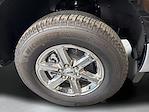 2025 Ford F-150 SuperCrew Cab 4x4 Pickup for sale #F250929 - photo 27