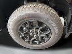New 2025 Ford F-150 XLT SuperCrew Cab 4WD Pickup for sale #F250942 - photo 29