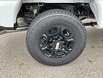 2025 Ford F-250 Regular Cab 4x4 Pickup for sale #F251025 - photo 21