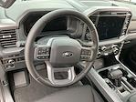 2025 Ford F-150 SuperCrew Cab 4x4 Pickup for sale #F251099 - photo 13