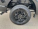2025 Ford F-150 SuperCrew Cab 4x4 Pickup for sale #F251099 - photo 23