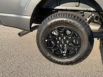 2025 Ford F-150 SuperCrew Cab 4x4 Pickup for sale #F251105 - photo 20