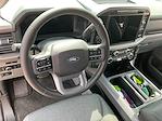 New 2025 Ford F-150 XLT SuperCrew Cab 4x4 Pickup for sale #F251118 - photo 13