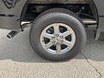 New 2025 Ford F-150 XLT SuperCrew Cab 4x4 Pickup for sale #F251118 - photo 24