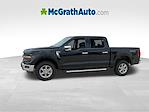 New 2025 Ford F-150 XLT SuperCrew Cab 4x4 Pickup for sale #F251118 - photo 6