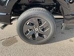 New 2025 Ford F-150 STX SuperCrew Cab 4WD Pickup for sale #F251146 - photo 24