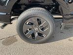 New 2025 Ford F-150 STX SuperCrew Cab for sale #F251146 - photo 24