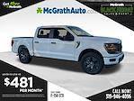 New 2025 Ford F-150 STX SuperCrew Cab 4WD Pickup for sale #F251209 - photo 3