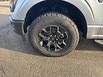 2025 Ford F-150 SuperCrew Cab 4WD Pickup for sale #F251305 - photo 10