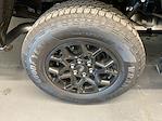 2025 Ford F-150 SuperCrew Cab 4WD Pickup for sale #F251306 - photo 19