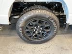 New 2025 Ford F-150 XLT SuperCrew Cab for sale #F251307 - photo 18