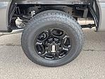 New 2026 Ford F-250 XL Crew Cab 4WD Pickup for sale #F260036 - photo 19