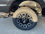 New 2026 Ford F-250 Platinum Crew Cab 4WD Pickup for sale #F260042 - photo 20
