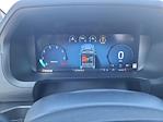 2024 Ford F-150 SuperCrew Cab 4WD Pickup for sale #LFO241437 - photo 10