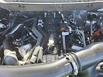 2024 Ford F-150 SuperCrew Cab 4WD Pickup for sale #LFO241437 - photo 22