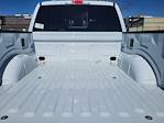 2024 Ford F-150 SuperCrew Cab 4WD Pickup for sale #LFO241437 - photo 33