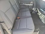 2024 Ford F-150 SuperCrew Cab 4WD Pickup for sale #LFO241447 - photo 18