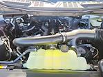 2024 Ford F-150 SuperCrew Cab 4WD Pickup for sale #LFO241447 - photo 21