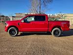 2024 Ford F-150 SuperCrew Cab 4WD Pickup for sale #LFO241449 - photo 4