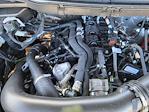 2024 Ford F-150 SuperCrew Cab 4WD Pickup for sale #LFO241449 - photo 20