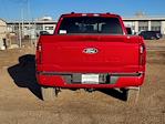2024 Ford F-150 SuperCrew Cab 4WD Pickup for sale #LFO241449 - photo 7