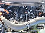 2025 Ford F-150 SuperCrew Cab 4WD Pickup for sale #LFO250073 - photo 22