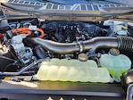 2025 Ford F-150 SuperCrew Cab 4WD Pickup for sale #LFO250084 - photo 24