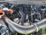 2025 Ford F-150 SuperCrew Cab 4WD Pickup for sale #LFO250084 - photo 25