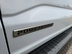 2025 Ford F-150 SuperCrew Cab 4WD Pickup for sale #LFO250085 - photo 24