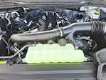 2025 Ford F-150 SuperCrew Cab 4WD Pickup for sale #LFO250087 - photo 21