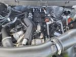 2025 Ford F-150 SuperCrew Cab 4WD Pickup for sale #LFO250087 - photo 22