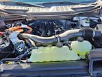 2025 Ford F-150 SuperCrew Cab 4WD Pickup for sale #LFO250097 - photo 21