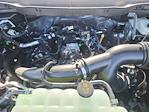 2025 Ford F-150 SuperCrew Cab 4WD Pickup for sale #LFO250100 - photo 21