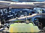 2025 Ford F-150 SuperCrew Cab 4WD Pickup for sale #LFO250129 - photo 21