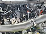2025 Ford F-150 SuperCrew Cab 4WD Pickup for sale #LFO250150 - photo 22