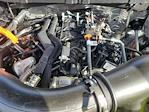 2025 Ford F-150 SuperCrew Cab 4WD Pickup for sale #LFO250153 - photo 22