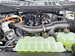 2025 Ford F-150 SuperCrew Cab 4WD Pickup for sale #LFO250223 - photo 21