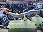 2025 Ford F-150 SuperCrew Cab 4WD Pickup for sale #LFO250224 - photo 21