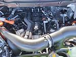 2025 Ford F-150 SuperCrew Cab 4WD Pickup for sale #LFO250224 - photo 22