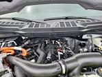2025 Ford F-150 SuperCrew Cab 4WD Pickup for sale #LFO250256 - photo 22